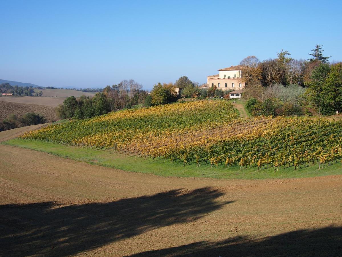 Agriturismo Poggiarellino - モンタルチーノ エクステリア 写真