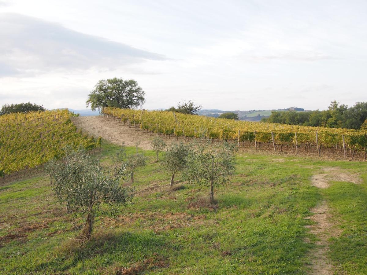 Agriturismo Poggiarellino - モンタルチーノ エクステリア 写真
