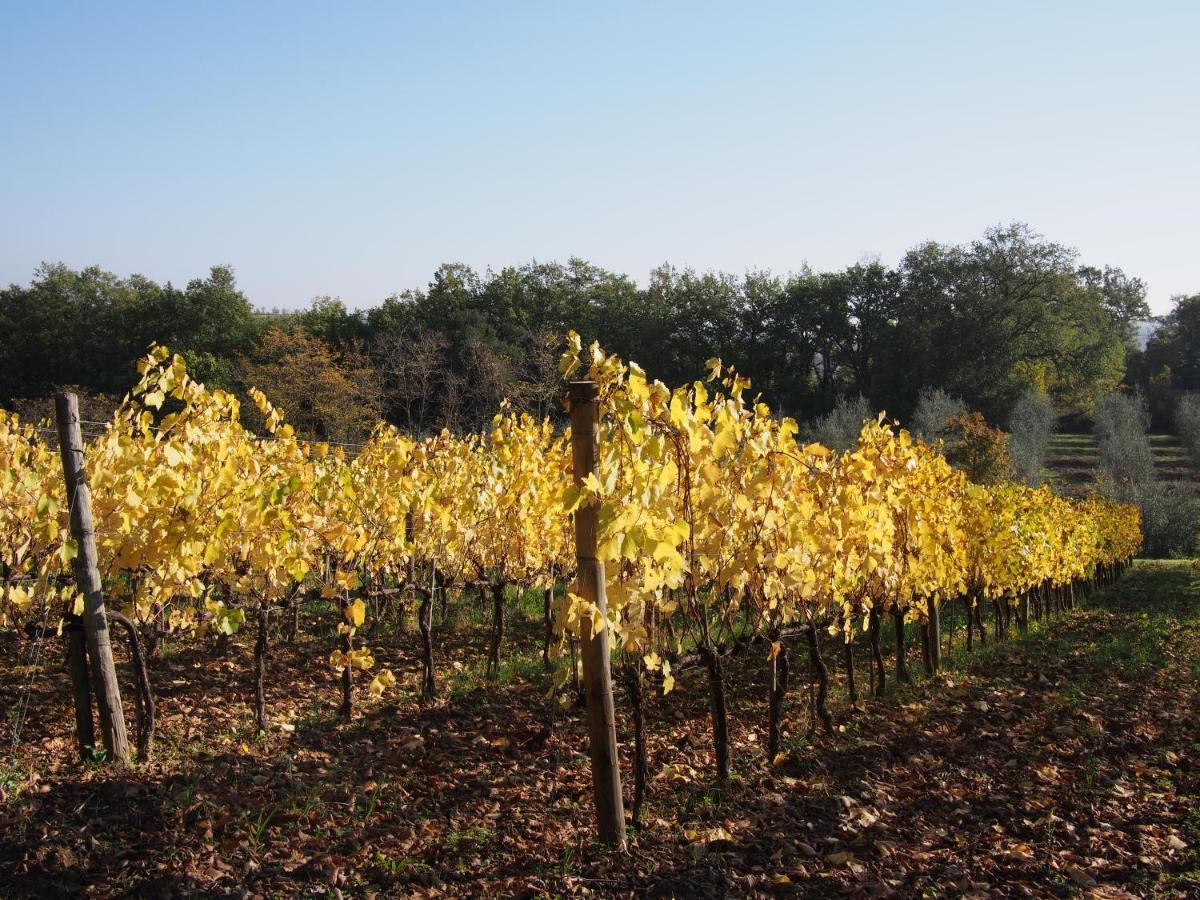 Agriturismo Poggiarellino - モンタルチーノ エクステリア 写真